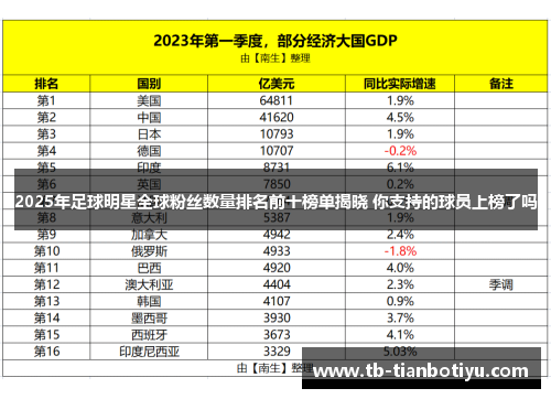 2025年足球明星全球粉丝数量排名前十榜单揭晓 你支持的球员上榜了吗